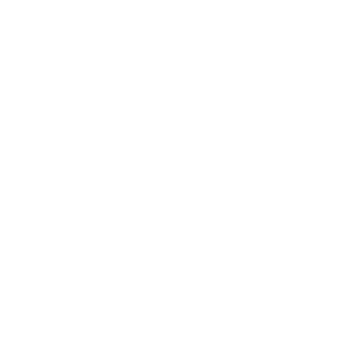 A white email icon